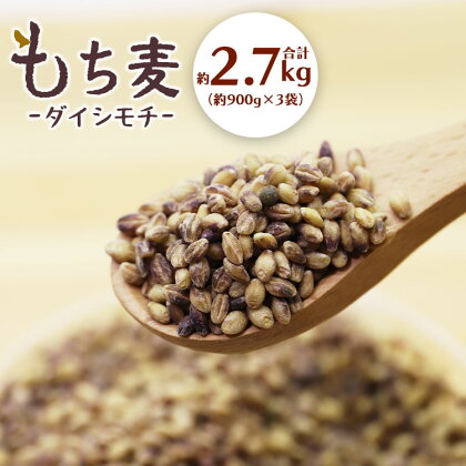 もち麦（ダイシモチ） 合計2.7kg - 食物繊維 ミネラル 豊富 熨斗 のし対応 もちむぎ 国産 穀物 雑穀 大麦 ヘルシー 混ぜる まぜるだけ 炊く もちもち モチモチ 米 ごはん ご飯 特産品 高知県 香南市【常温】 yr-0020