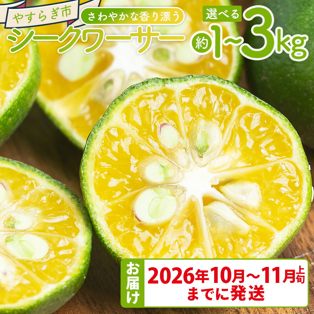 [選べる数量][先行受付]さわやかな香り漂うシークワーサー(約1kg/2kg/3kg) - 選べる 内容量 国産 シークヮーサー 果物 フルーツ 果実 青果 柑橘 ヒラミレモン ジュース 酒 やすらぎ市 高知県 香南市[常温][2026年10月〜11月上旬までに発送]