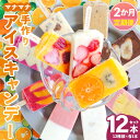 【ふるさと納税】【2回定期便】手作りアイスキャンディー 12本セット - 氷菓 果物 フルーツ アイスキャンディー 冷たい つめたい 詰め合わせ お楽しみ 食べ...