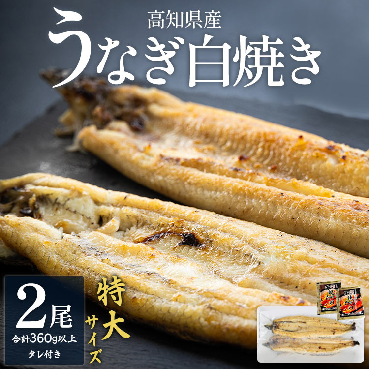 【ふるさと納税】高知県産うなぎの白焼き 特大サイズ 2尾(合計360g以上) タレ付き - 鰻 ウナギ 夕飯 おつまみ 丑の日 のし対応可 ギフト 贈答 クリスマス 年末年始 国産 吉川水産 高知県 香南市【冷凍】 yw-0044