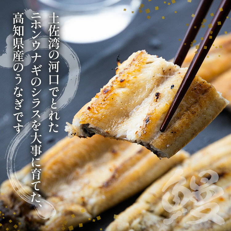 【ふるさと納税】高知県産うなぎの白焼き 大サイズ 5尾(合計750g以上) タレ付き - 送料無料 鰻 ウナギ 晩ご飯 夕飯 おかず 魚 肴 おつまみ 国産 贈答用 贈り物 吉川水産 高知県 香南市【冷凍】yw-0068