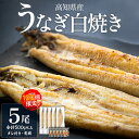 【ふるさと納税】【限定100個】高知県産うなぎの白焼き 100g〜120g×5尾 - 国産 鰻 ウナギ 有頭 背開き タレ付き つまみ ご飯のお供 老舗 土佐湾...