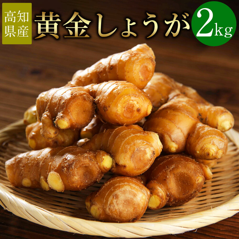 【ふるさと納税】【高知県産】黄金しょうが 2kg ショウガ 生姜 野菜 特産品 香美市 高知県 送料無料