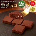 【ふるさと納税】にっぽんの宝物世界大会2023 日本と海外の融合部門 第2位獲得!【世界を変えるカカオ】生チョコレート 1箱5個入×2箱 チョコ 生チョコ 洋菓...