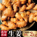 【ふるさと納税】【選べる容量】高知県産 生姜 300g 1kg 2kg 生姜 ショウガ しょうが ジンジャー 野菜 薬味 産地直送 お取り寄せ 高知県 香美市 ...