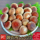 【ふるさと納税】<選べる内容量>訳あり 御在所しいたけ 計約700g(約350g×2)・計約1050g(約350g×3) 椎茸 シイタケ きのこ キノコ 茸 野...