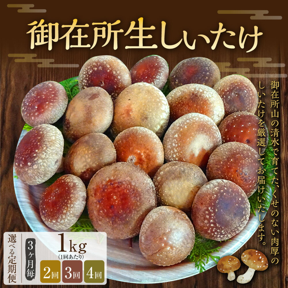 【ふるさと納税】＜選べる定期便＞【3ヶ月毎】【2回・3回・4回定期便】御在所肉厚生しいたけ 1回あたり 約1kg 椎茸 シイタケ きのこ キノコ 茸 野菜 冷蔵 高知県 香美市 送料無料