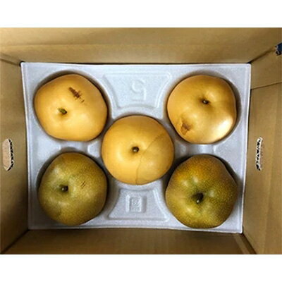 【ふるさと納税】訳あり梨約2kg(豊水梨、又は秋月)【2022年発送・先行予約】