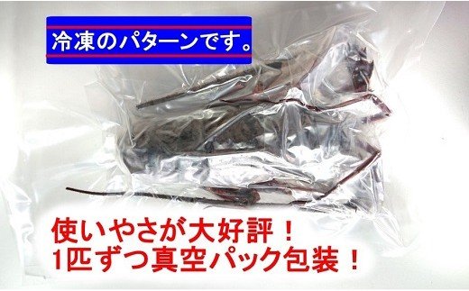【ふるさと納税】S143伊勢海老天然ほんまもん!<200g前後>【活き】