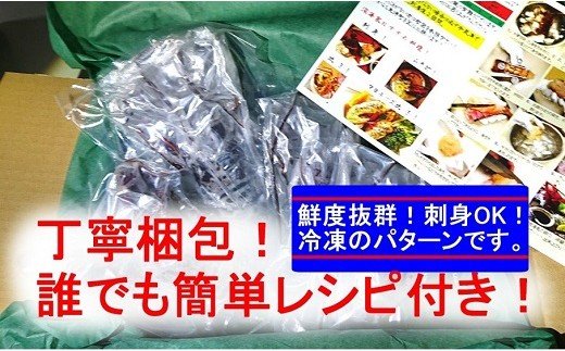 【ふるさと納税】S143伊勢海老天然ほんまもん!<200g前後>【活き】