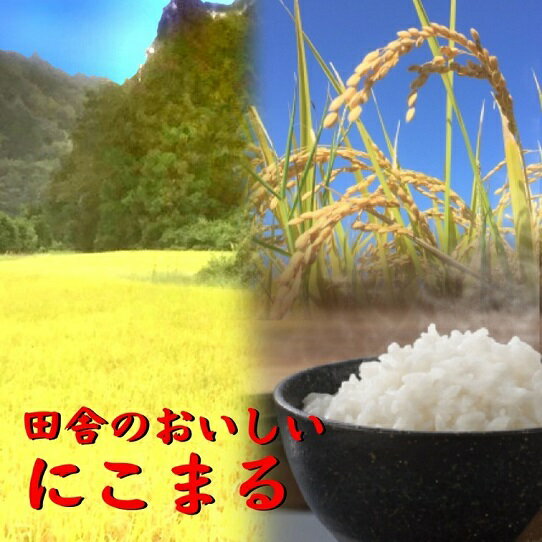 令和4年産にこまる3kg(令和4年秋収穫) 東洋町産 米 コメ こめ 甘み 四国 お取り寄せ 家庭用 自宅用 送料無料