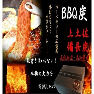 【ふるさと納税】S119BBQ炭3kg