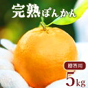 【ふるさと納税】<先行予約>贈答用 完熟ぽんかん(特大サイズ) 5kg 国産 東洋町産 甘い コク 蜜柑 ミカン ジューシー 果肉 高知県 東洋町 四国 お取り寄せ フルーツ 果物 贈り物 ギフト 内祝 送料無料 産地直送 F-12