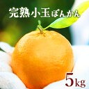 【ふるさと納税】<先行予約>完熟小玉ぽんかん 5kg 国産 東洋町産 甘い コク ジューシー 蜜柑 ミカン 小玉 完熟 果肉 高知県 東洋町 四国 お取り寄せ フルーツ 果物 家庭用 自宅用 贈り物 送料無料 産地直送 F125