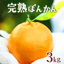 【ふるさと納税】<先行予約>完熟ぽんかん 3kg 国産 東洋町産 完熟 甘い 甘酸っぱい ジューシー 蜜柑 ミカン 高知県 東洋町 四国 お取り寄せ フルーツ 果物 デザート 送料無料 産地直送 F140