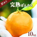 【ふるさと納税】 <先行予約>訳アリ完熟ぽんかん 5kg×2箱セット10kg 国産 東洋町産 訳あり 甘酸っぱい 甘い 蜜柑 ミカン ジューシー 高知県 東洋町 四国 お取り寄せ フルーツ 果物 送料無料 産地直送 F143