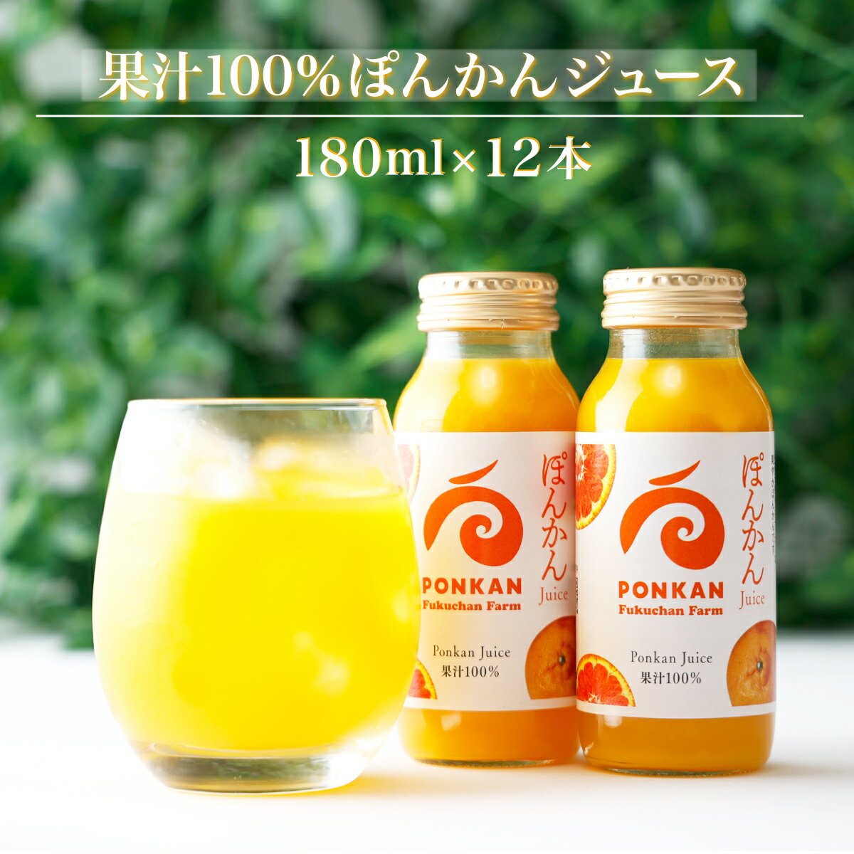 57位! 口コミ数「0件」評価「0」ぽんかんジュース180ml 12本入り 国産 東洋町産 果汁100% フレッシュジュース 酸味 着色料保存料不使用 四国 お取り寄せ フルー･･･ 