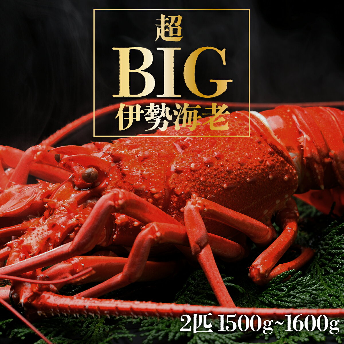 【ふるさと納税】超BIG伊勢海老＜2匹＞1000匹に1匹レベルが2匹！【冷凍】刺身OK 国産 東洋町産 天然 新鮮 海鮮 四国 お取り寄せ お祝い 記念日 贈り物 送料無料 生 S242