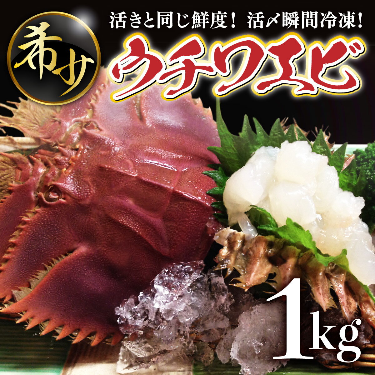 【ふるさと納税】活〆ウチワエビ6~10匹 1000gセット＜数量限定＞ 国産 東洋町産 セット うちわえび 新鮮 海鮮 高知県 東洋町 四国 お取り寄せ 送料無料 S209