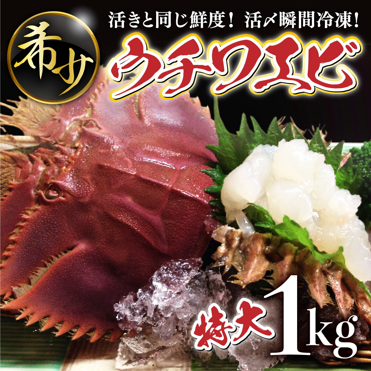 【ふるさと納税】活〆ウチワエビ特大6匹 1000gセット＜数量限定＞ 国産 東洋町産 セット うちわえび 新鮮 海鮮 高知県 東洋町 四国 お取り寄せ 送料無料 S210