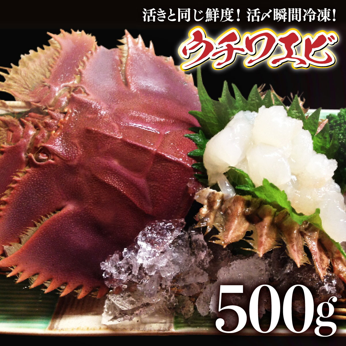 【ふるさと納税】活〆ウチワエビ3~5匹 500gセット＜数...