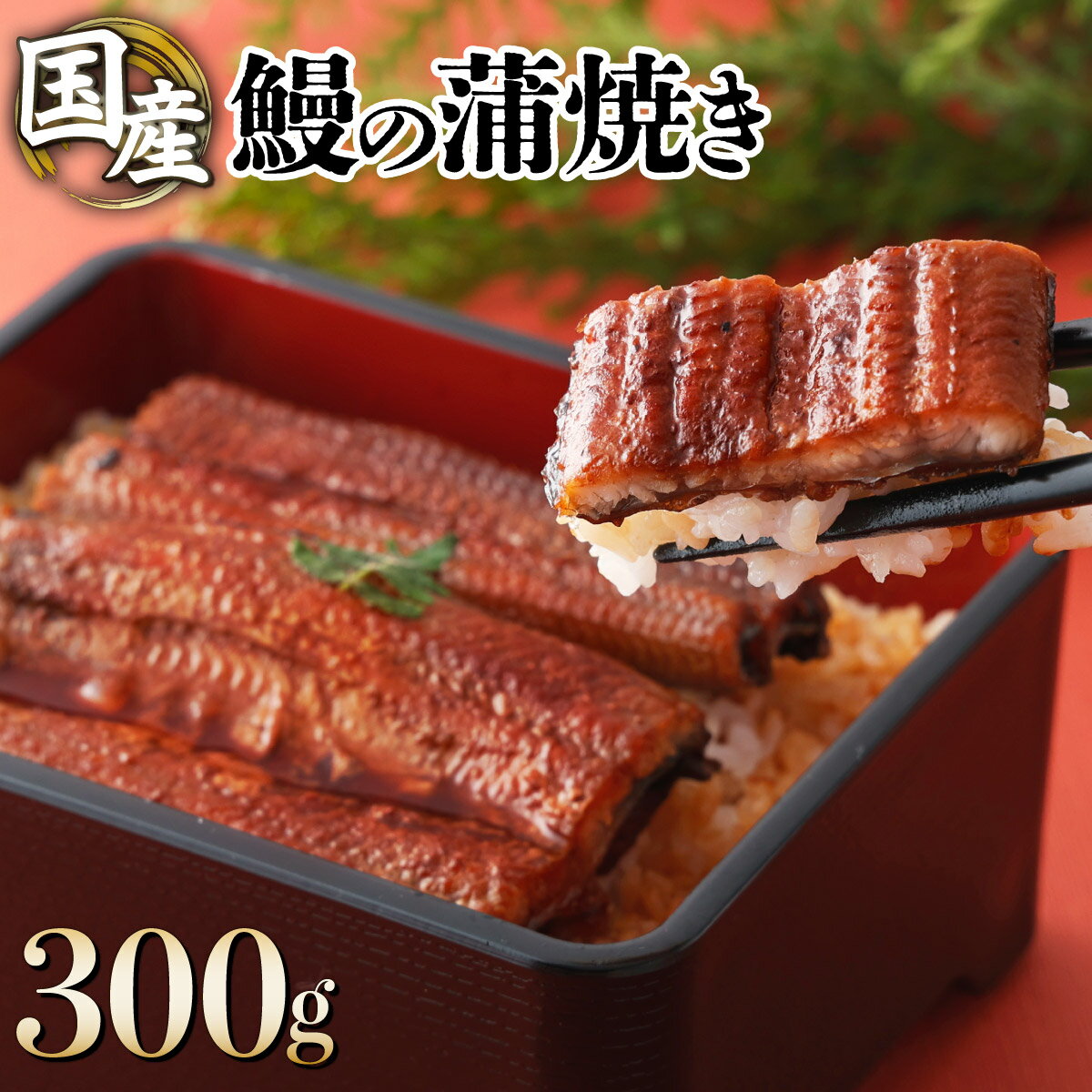 49位! 口コミ数「0件」評価「0」国産うなぎ蒲焼 合計300g（150g×2尾）ウナギ 鰻 高知県 東洋町 四国 お取り寄せ 家庭用 自宅用 贈り物 ギフト タレ・山椒付き ･･･ 