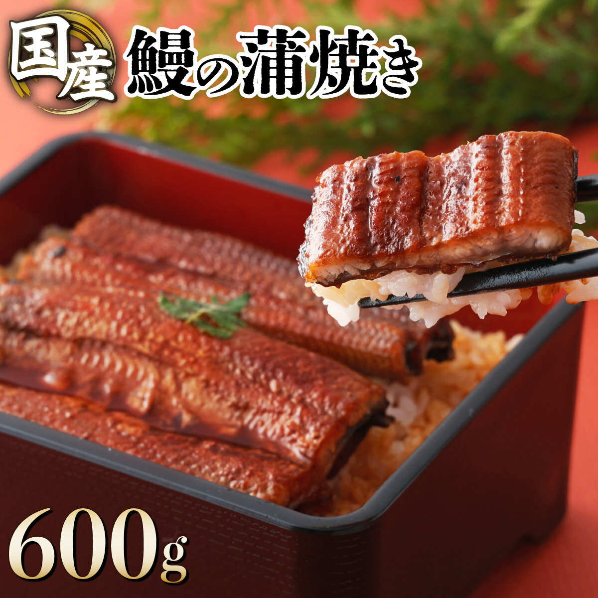 13位! 口コミ数「0件」評価「0」国産うなぎ蒲焼 合計600g（150g×4尾） ウナギ 鰻 高知県 東洋町 四国 お取り寄せ 家庭用 自宅用 贈り物 ギフト タレ・山椒付き･･･ 