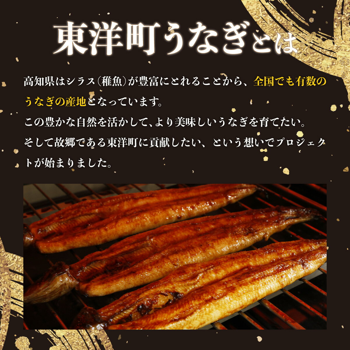 【ふるさと納税】国産うなぎカット 合計300g（60g×5袋） ウナギ 鰻 高知県 東洋町 四国 お取り寄せ 家庭用 自宅用 贈り物 ギフト タレ・山椒付き うな重 鰻丼 うな丼 うな茶漬け 【送料無料】U008