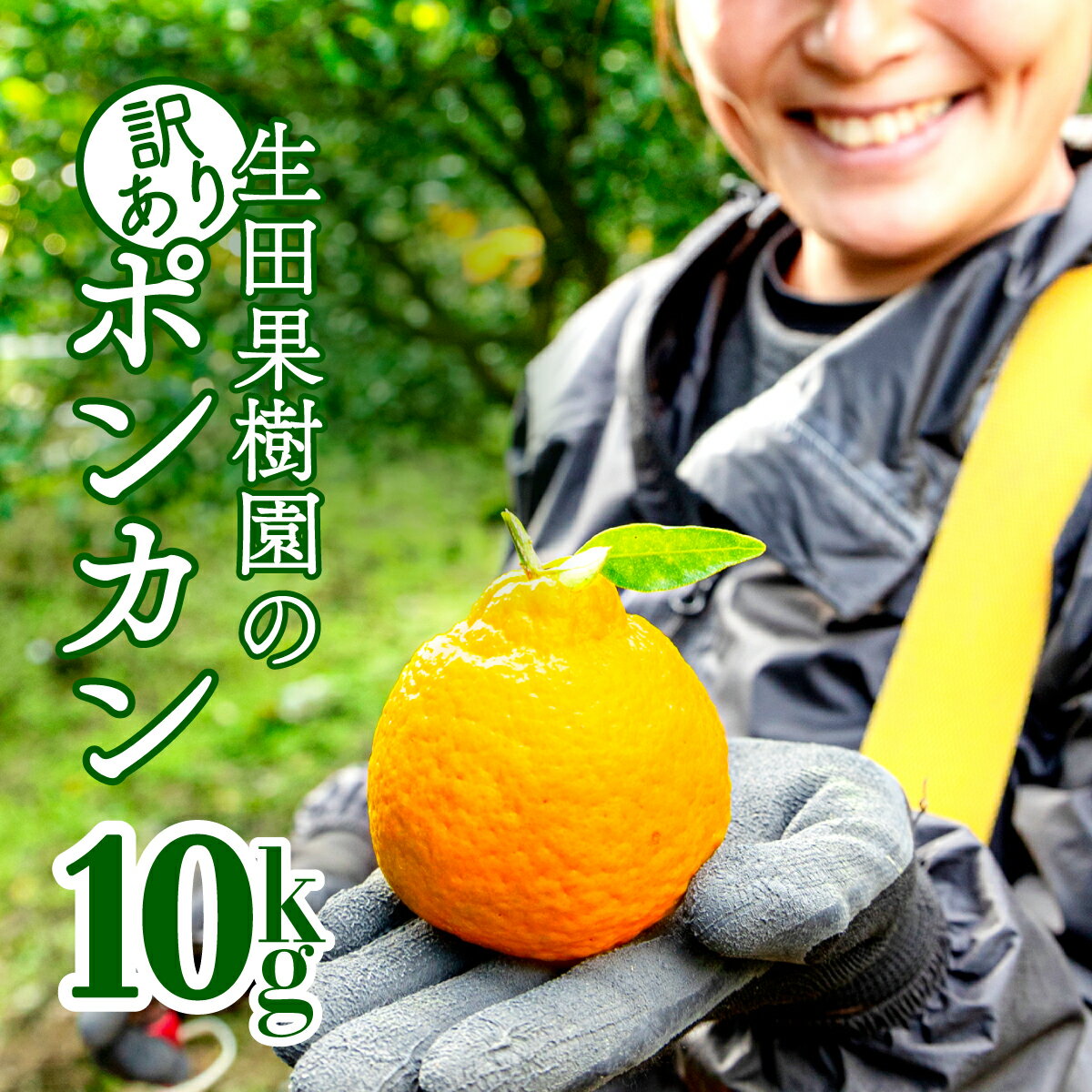 24位! 口コミ数「4件」評価「5」＜先行予約＞生田の訳ありポンカン【10kg】 国産 東洋町産 訳アリ 甘い コク ジューシー 果肉 高知県 東洋町 四国 お取り寄せ フルー･･･ 