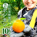 【ふるさと納税】＜先行予約＞生田の訳ありポンカン【10kg】