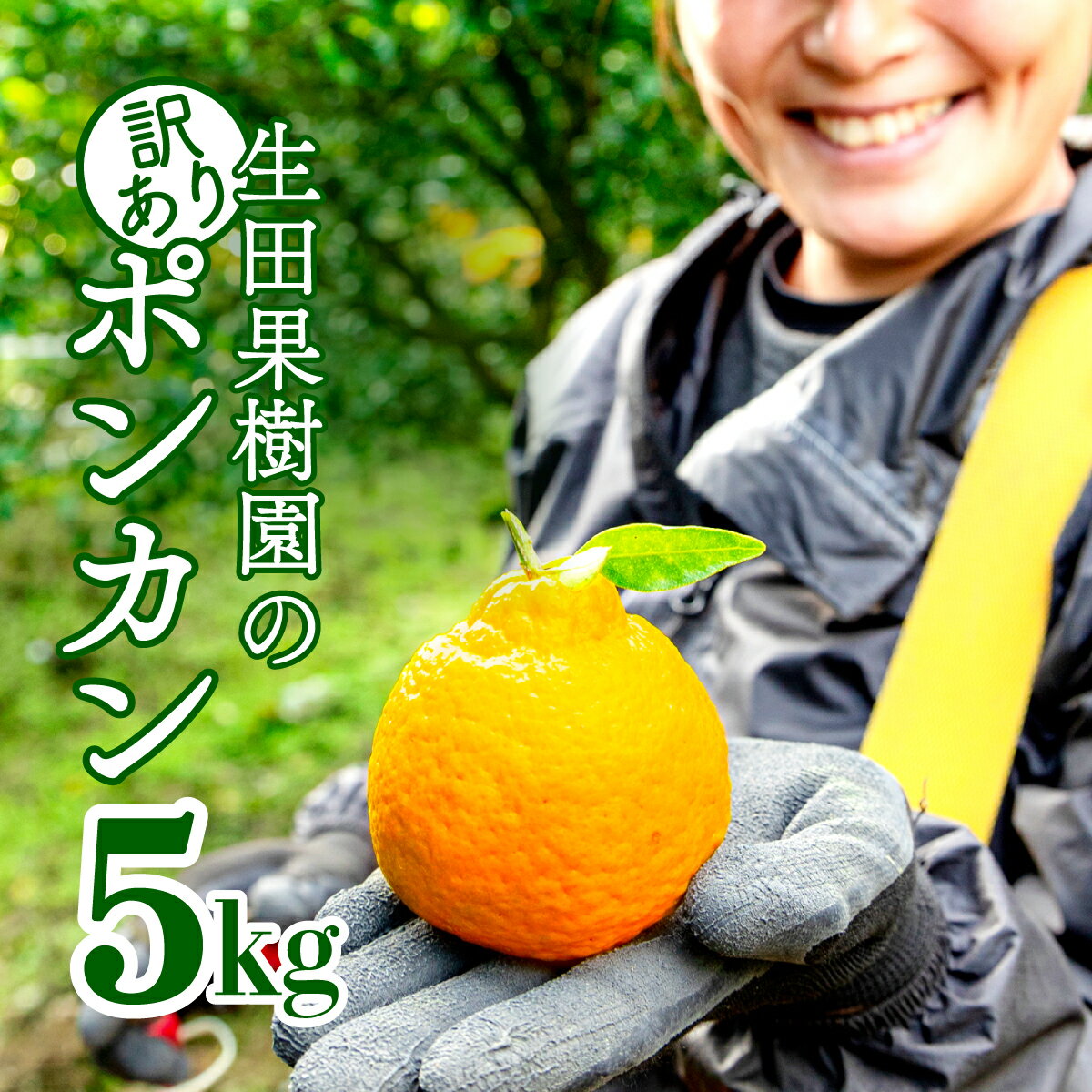 名称：ぽんかん 産地名：東洋町産 内容量：訳アリポンカン5kg 発送時期：2025年（令和7年）1月中頃から色づき次第、順番に発送していきます。気候等により発送時期が変わる場合があります。 保存方法：私たちが愛情込めてつくった ポンカンを最後まで美味しく 食べていただくために 到着後はすぐに開封し 風通しのよい直射日光の 当たらない場所に保管してください。 箱の下になっている部分から 食べてもらうことで到着後の腐敗を 軽減することができます。 充分な選別を心掛けていますが 運送等により特に底の部分は 稀に腐敗している可能性があります。 放置しておくと腐敗がひろがりますので 確認をよろしくおねがいします。 提供業者：生田果樹園 ・ふるさと納税よくある質問はこちら ・寄付申込みのキャンセル、返礼品の変更・返品はできません。あらかじめご了承ください。生田果樹園のポンカンは、古くから地元に愛される　安定した美味しさを誇ります。 ひと手間ひと手間、愛情を込めて育て上げたポンカンは、東洋町の伝統を語り継ぎます。 本品は訳アリポンカンです。 傷物が混合しておりますが、味に支障はありません。 ご了承の上、お申し込みください。 「ふるさと納税」寄付金は、下記の事業を推進する資金として活用してまいります。 寄付を希望される皆さまの想いでお選びください。 (1)のびのび育てよう東洋町の子ども育成事業 (2)安心して子育てのできる環境整備 (3)協働のまちづくりの促進 (4)健康づくりの推進 (5)財政基盤の強化と町の活性化 (6)農業、観光の振興 (7)環境にやさしい町づくりと快適な住環境の整備 (8)町長お任せコース 特にご希望がなければ、市政全般に活用いたします。 入金確認後、注文内容確認画面の【注文者情報】に記載の住所にお送りいたします。 発送の時期は、寄付確認後30日以内を目途に、お礼の特産品とは別にお送りいたします。