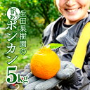 7位! 口コミ数「17件」評価「4.47」 ＜先行予約＞生田の訳ありポンカン【5kg】 国産 東洋町産 訳アリ 甘い コク ジューシー 果肉 高知県 東洋町 四国 お取り寄せ フルー･･･ 