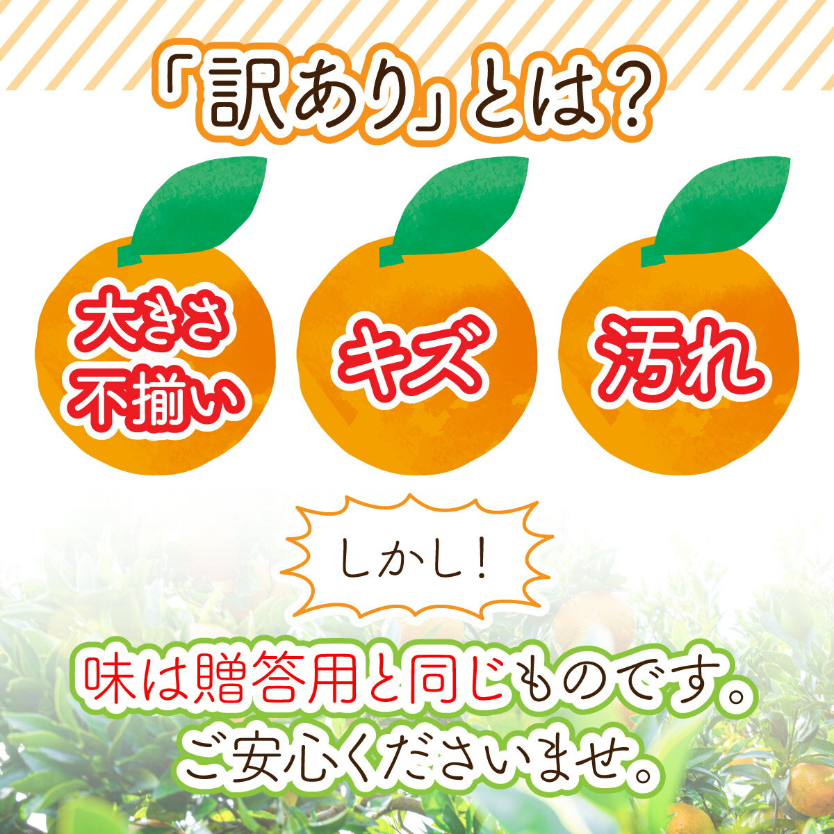 【ふるさと納税】 ＜先行予約＞訳ありぽんかん【20kg】 国産 東洋町産 訳アリ オレンジ 果物 フルーツ 甘い 酸味 ジューシー ミカン 蜜柑 高知県 四国 お取り寄せ 家庭用 自宅用 大容量 送料無料 産地直送 D8