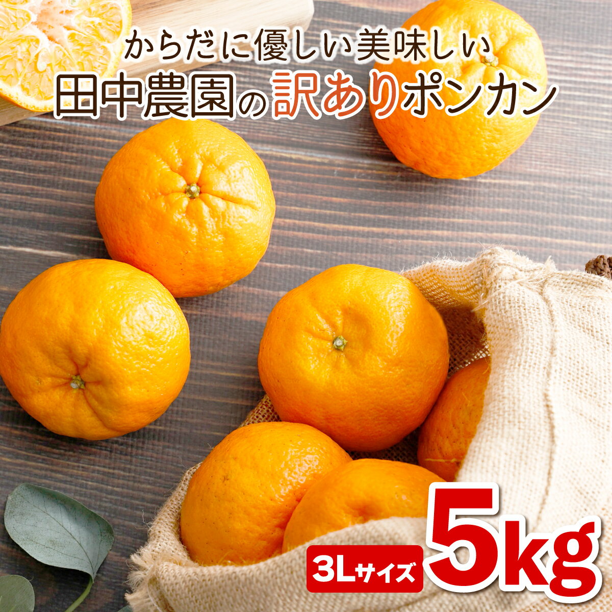 【ふるさと納税】＜先行予約＞ポンカン 5kg（3Lサイズ） 国産 東洋町産 訳あり 甘酸っぱい ジューシー 蜜柑 ミカン 有機肥料 高知県 東洋町 四国 お取り寄せ フルーツ 果物 送料無料 TA14