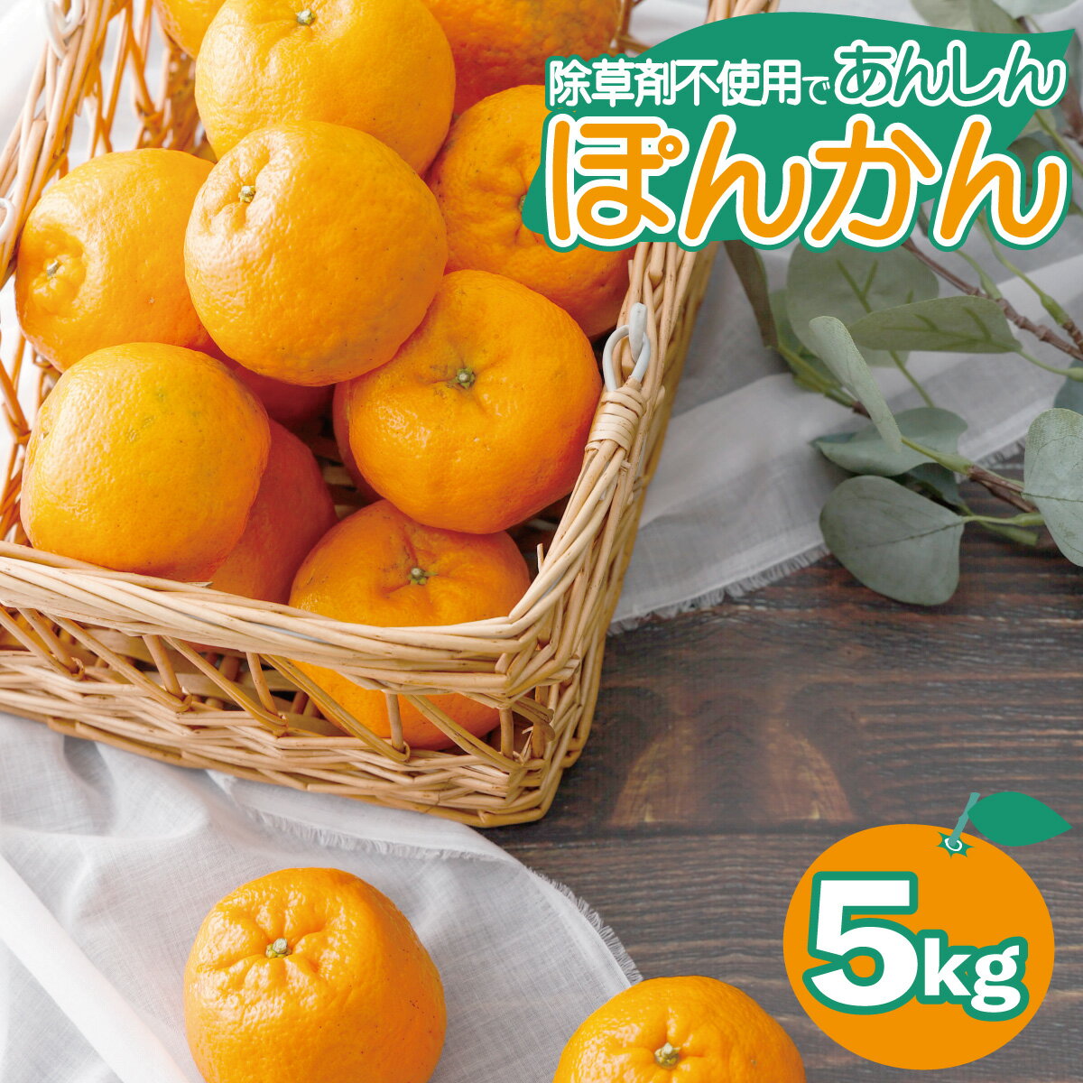 名称：ポンカン 産地名：東洋町産 内容量：ポンカン5kg 発送時期：2025年（令和7年）1月中頃から色づき次第、順番に発送していきます。気候等により発送時期が変わる場合があります。 保存方法：ぽんかんを美味しく召し上がっていただくためには、到着後すぐに開封し、冷暗所にて保管のうえ、お早めにお召し上がりください。 提供業者：ファーム手島 ・ふるさと納税よくある質問はこちら ・寄付申込みのキャンセル、返礼品の変更・返品はできません。あらかじめご了承ください。高知県東洋町の暖かい気候でひとつひとつ大切に育てました。 12月に収穫し、約1か月間木箱で貯蔵することで、酸味が程よく甘味に変わります。 風で枝スレが多少ついたりしています。 除草剤は一切使用していません。 どうぞご笑味くださいませ。 「ふるさと納税」寄付金は、下記の事業を推進する資金として活用してまいります。 寄付を希望される皆さまの想いでお選びください。 (1)のびのび育てよう東洋町の子ども育成事業 (2)安心して子育てのできる環境整備 (3)協働のまちづくりの促進 (4)健康づくりの推進 (5)財政基盤の強化と町の活性化 (6)農業、観光の振興 (7)環境にやさしい町づくりと快適な住環境の整備 (8)町長お任せコース 特にご希望がなければ、市政全般に活用いたします。 入金確認後、注文内容確認画面の【注文者情報】に記載の住所にお送りいたします。 発送の時期は、寄付確認後30日以内を目途に、お礼の特産品とは別にお送りいたします。