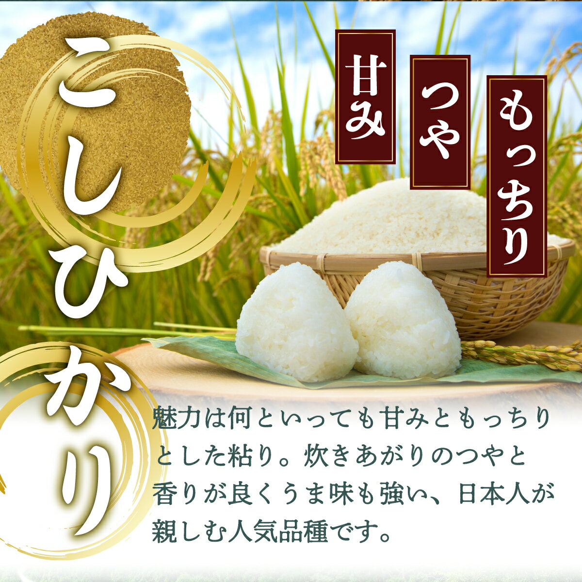 【ふるさと納税】＜8月下旬より発送開始＞野根川米10kg こしひかり【MZ001】東洋町産 国産 米 白米 精米 コメ こめ もっちり 四国 お取り寄せ 家庭用 自宅用 贈り物 送料無料