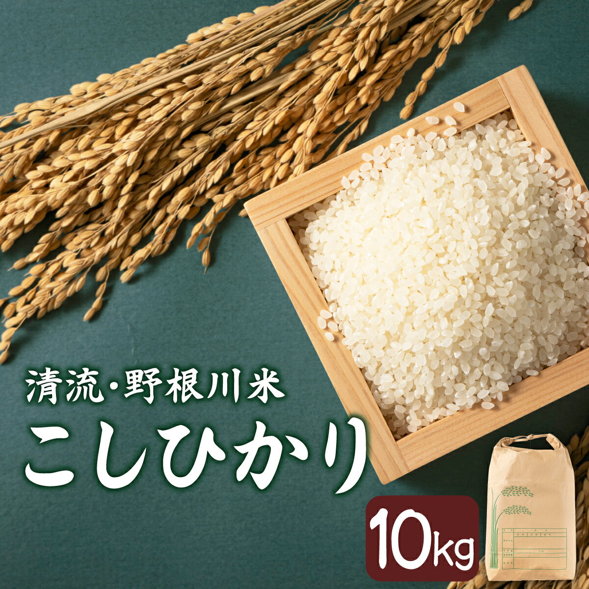 【ふるさと納税】<8月下旬より発送開始>野根川米10kg こしひかり【MZ001】東洋町産 国産 米 白米 精米 コメ こめ もっちり 四国 お取り寄せ 家庭用 自宅用 贈り物 送料無料