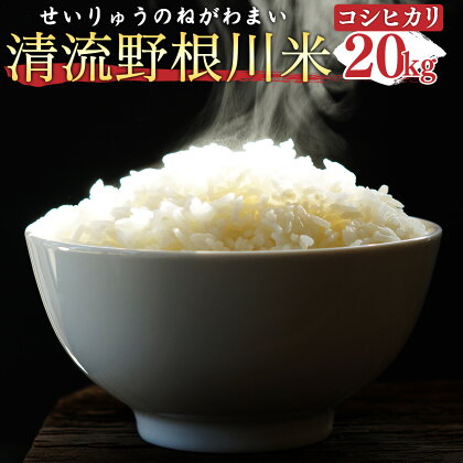 清流野根川米（コシヒカリ）20kg！ 令和5年産 東洋町産 国産 精米 白米 米 コメ こめ もっちり 四国 お取り寄せ 家庭用 自宅用 贈答用 ギフト 贈り物 送料無料 U106