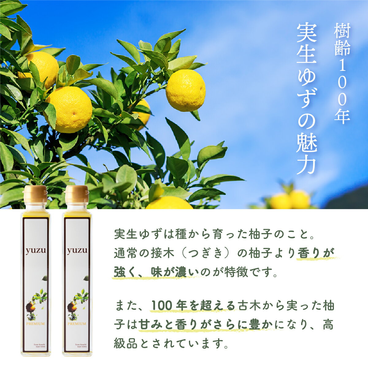 【ふるさと納税】《10日以内に出荷》100年ゆず果汁＜200ml×2本セット＞ 国産 東洋町産 果汁 100% 無添加 無農薬 無塩 ゆず ユズ ゆず酢 柚子酢 酢 万能 調味料 四国 家庭用 自宅用 贈答用 贈り物 ギフト 送料無料 S-08 3