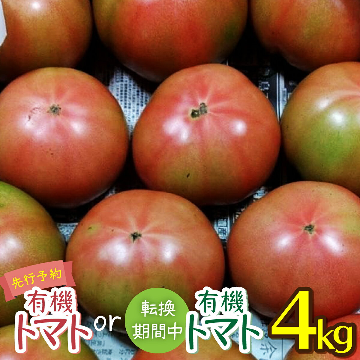 51位! 口コミ数「1件」評価「4」「先行予約」選べる 有機トマト 転換期間中有機トマト＜4kg箱＞ 東洋町産 とまと ジューシー 高知 四国 お取り寄せ 家庭用 自宅用 送料･･･ 