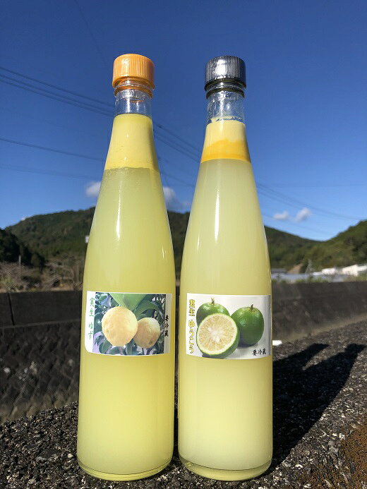 実生のゆず果汁と実生のゆうこう果汁＜500ml 各1本＞ 国産 東洋町産 無農薬 高知県 東洋町 四国 お取り寄せ 料理のお供に 家庭用 自宅用 送料無料 TS-02