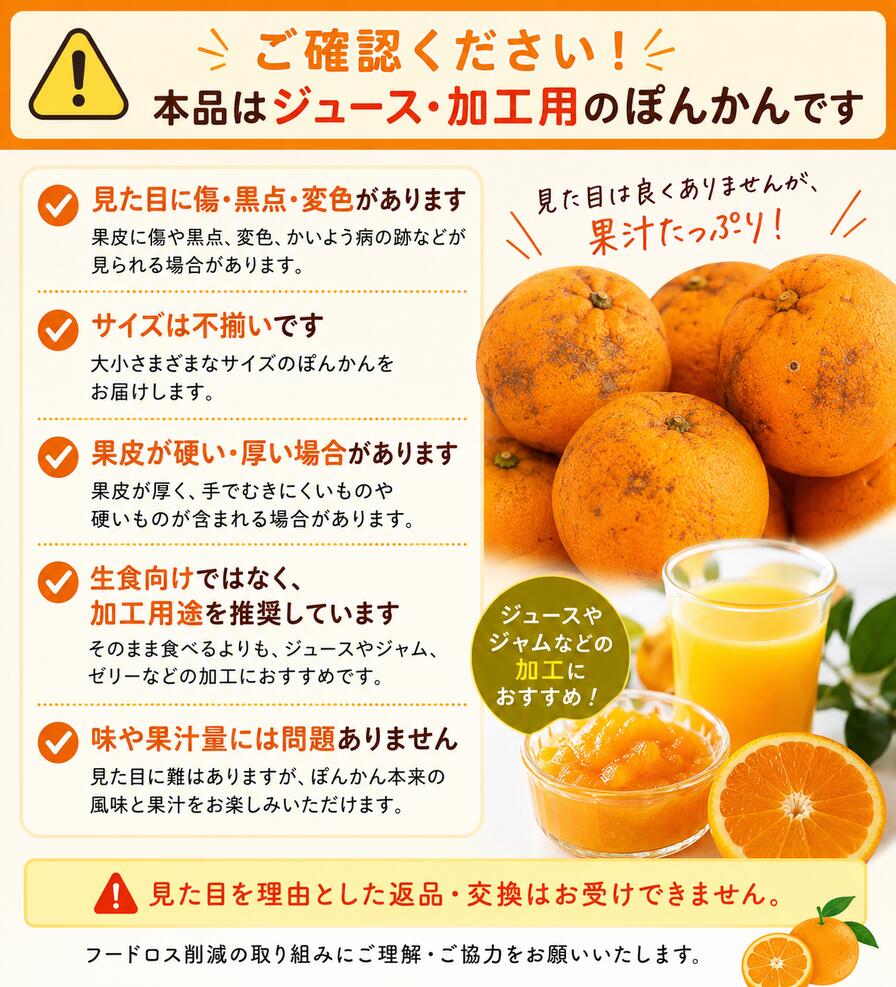 【ふるさと納税】 ジュース用訳ありぽんかん ＜5kg＞　訳あり完熟ぽんかん 国産 東洋町産 訳あり 甘酸っぱい 甘い 蜜柑 ミカン ジューシー 高知県 東洋町 四国 お取り寄せ フルーツ 果物 送料無料 産地直送 f393011-toyo-10000561 高知県東洋町 サンプル画像2