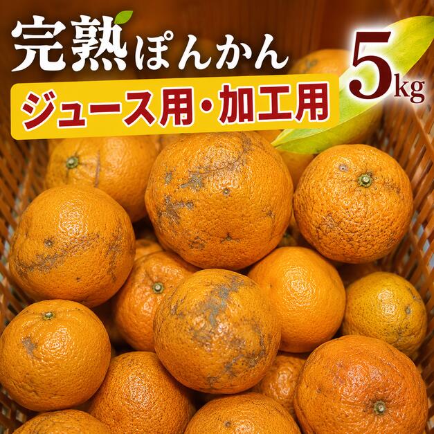 ジュース用訳ありぽんかん [5kg] 訳あり完熟ぽんかん 国産 東洋町産 訳あり 甘酸っぱい 甘い 蜜柑 ミカン ジューシー 高知県 東洋町 四国 お取り寄せ フルーツ 果物 送料無料 産地直送