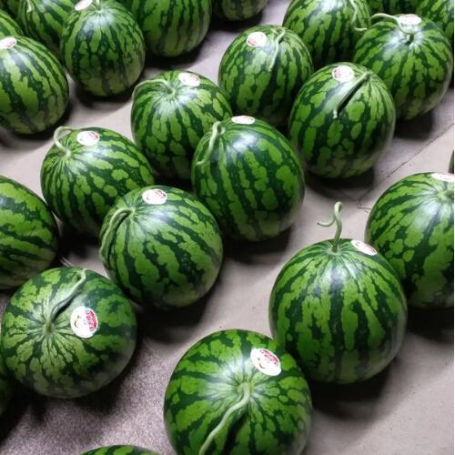 高知県奈半利町の画像3