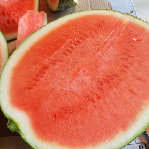 高知県奈半利町の画像2