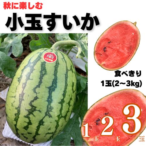 【ふるさと納税】【10月中旬～11月発送】山中農園の小玉スイカ 【姫まくら】（1玉or2玉or3玉) 1玉 2玉 ..