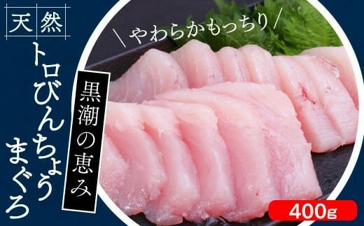 【ふるさと納税】　トロびんちょうまぐろ　400g