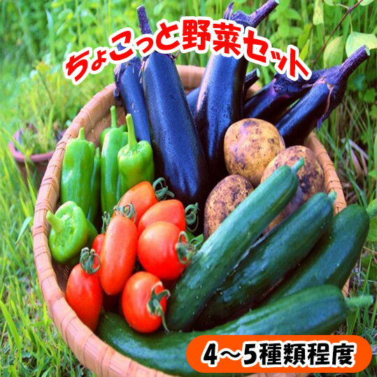 ちょこっと野菜セット お野菜 季節 野菜 旬 新鮮 産地直送 詰め合わせ やさい おいしい 自然 セット おまかせ 詰合せ 旬の野菜 お試し 4〜5種類 少量/高知県奈半利町