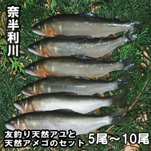 高知県の清流奈半利川でとれた香り高い天然アユと天然アメゴのセットです。 ※6月中旬頃から順次発送 商品説明 名称 天然アユ・天然アメゴ 内容量 ・天然アユ2尾（17cm以上）＆天然アメゴ3尾（18cm以上） ・天然アユ3尾（17cm以上）＆天然アメゴ2尾（18cm以上） ・天然アユ4尾（17cm以上）＆天然アメゴ6尾（18cm以上） ・天然アユ5尾（17cm以上）＆天然アメゴ5尾（18cm以上） 産地 高知県　奈半利川産 アレルギー有無 【特定7品目アレルゲン】無 賞味期限 別途ラベルに記載 保存方法 要冷凍（-18℃以下で保存して下さい。） 地場産品類型 第1号（奈半利町において水揚げされたもの） 加工者 高知県安芸郡奈半利町乙1419番地10奈半利川淡水漁業協同組合TEL（FAX）：0887-38-5887 ふるさと納税よくある質問はこちら ※画像はイメージです。 ※準備が整い次第、予定より前倒しで発送させていただく場合がございます。ご了承ください。 ※お受け取り後すぐに中身をご確認いただき、万が一破損・不良品の場合は速やかに対応させていただきますので、返礼品到着後2日以内にメールに破損等が分かる写真を添付し奈半利町ふるさと納税係までご連絡ください。 ※配送日・配送時期指定、配送前連絡は対応致しかねますのでご了承ください。（時間指定は承ります） ※長期ご不在等でご都合の悪い場合はお手数をお掛けしますが事前連絡を頂きます様お願い申し上げます。 ※寄附者様の都合での寄附申込みのキャンセル、返礼品の返品、交換、再送はお受けできません。 ※この商品はふるさと納税の返礼品です。スマートフォンでは「買い物かごに入れる」と表記されておりますが、寄附申込みとなりますのでご了承ください。入金確認後、30日以内で注文内容確認画面の【注文者情報】に記載の住所にお送りいたします。 発送は、お礼の特産品とは別にお送りいたします。