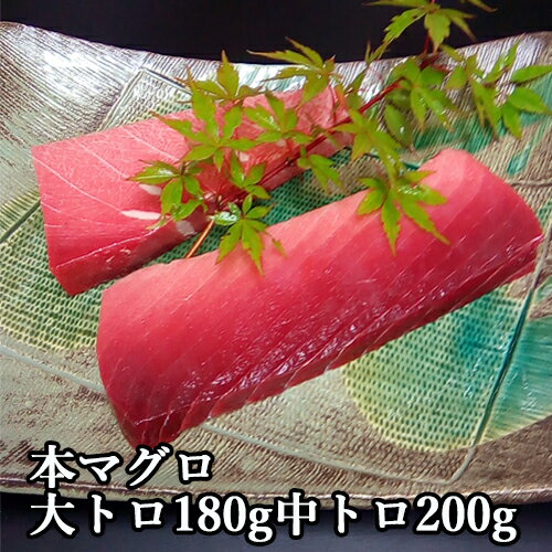 【ふるさと納税】　本鮪大トロ180g中トロ200g